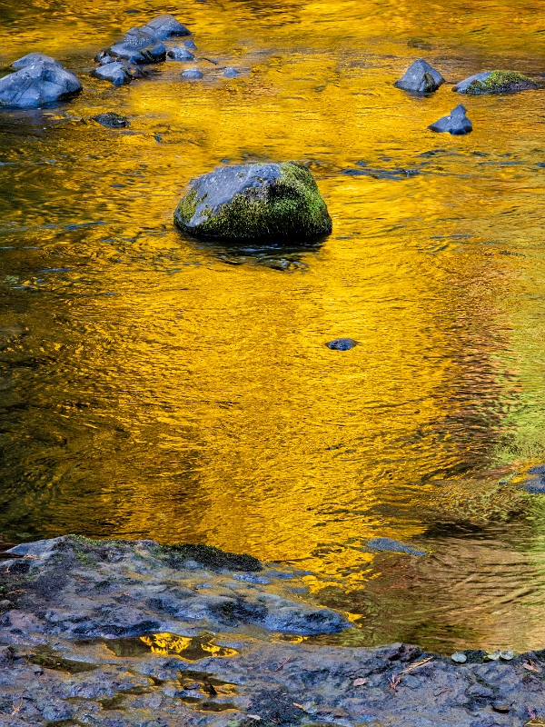Salmon River Reflection 21-3641a.jpg